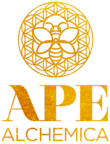 logo APE